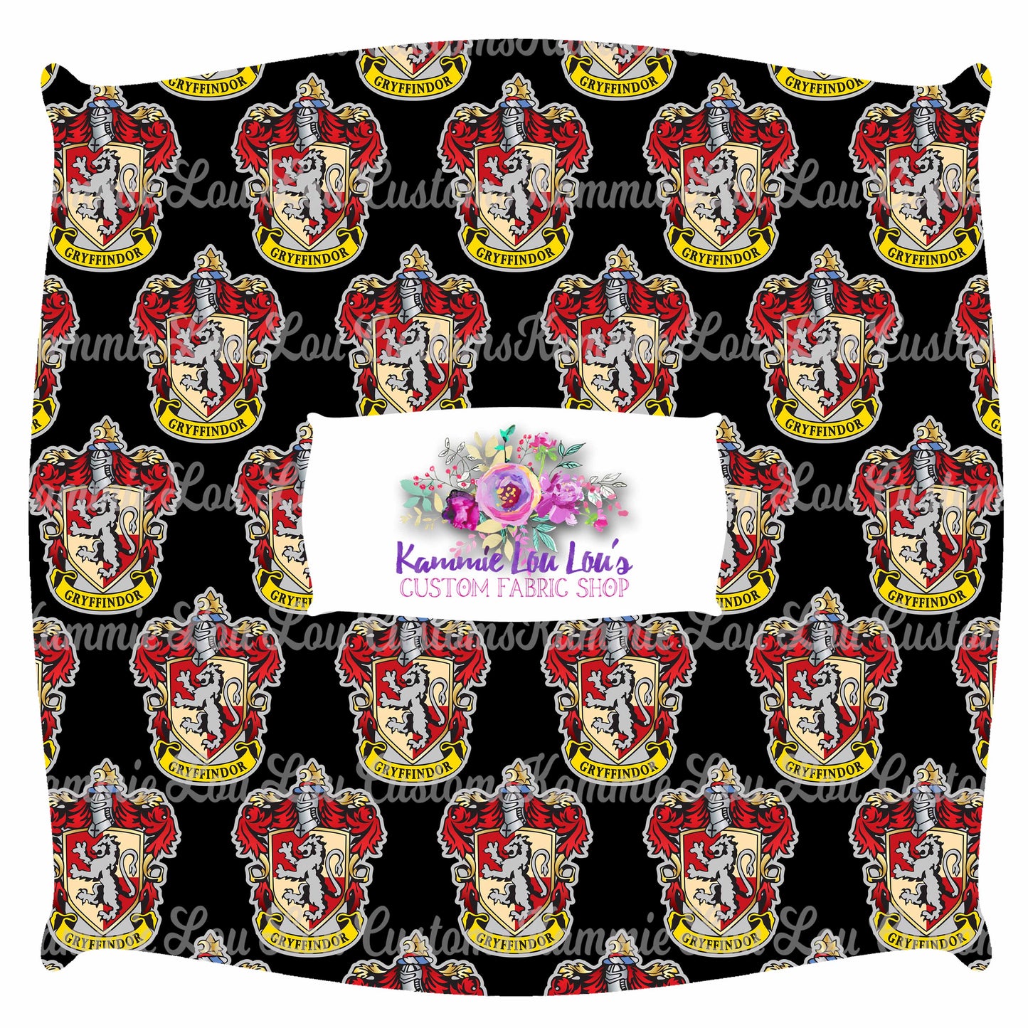 R43 Wizard School - Red House