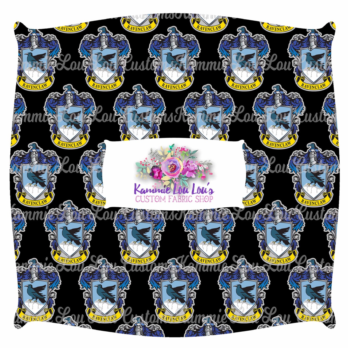 R43 Wizard School - blue House