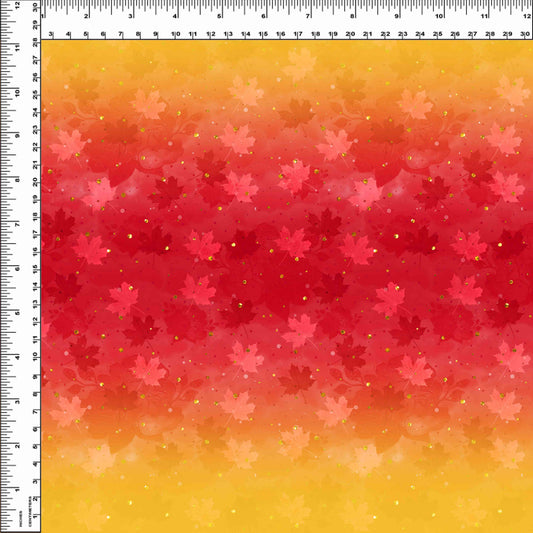 R117 Falling into Fall - Ombre